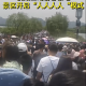 人從眾，西湖斷橋五一假期變“人橋”，有人在高速上遛狗，你還想出門么